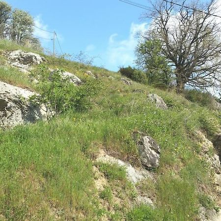 Gite Les Cadichons De La Grange Saint-Péray Eksteriør bilde